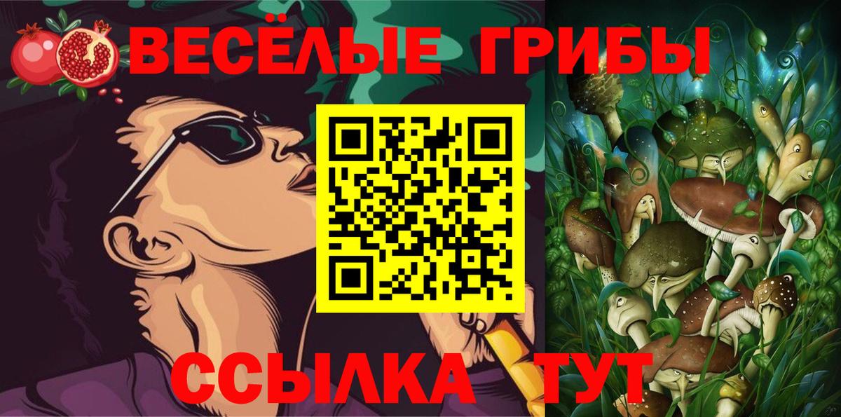 Галлюциногенные грибы Psilocybe Тула