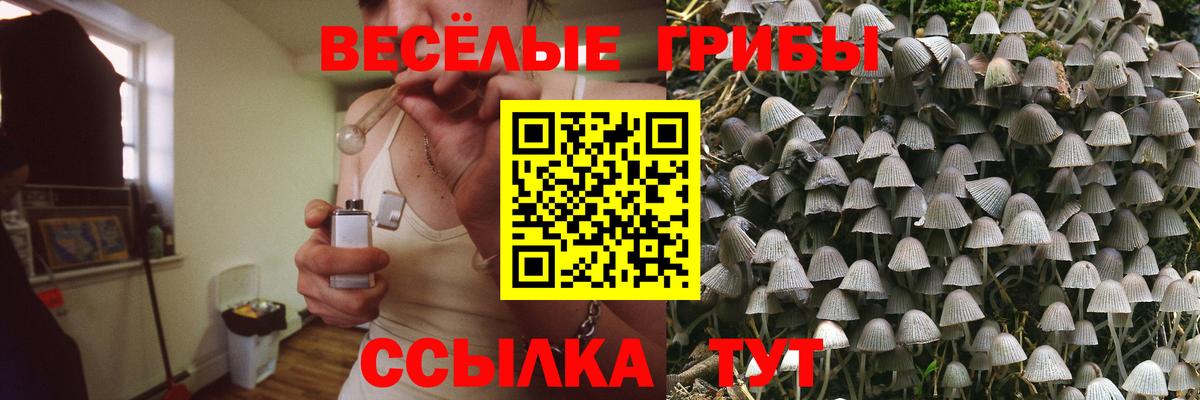 Псилоцибиновые грибы ЛСД  Вход с VPN  Тула  Псилоцибиновые грибы Magic Shrooms 